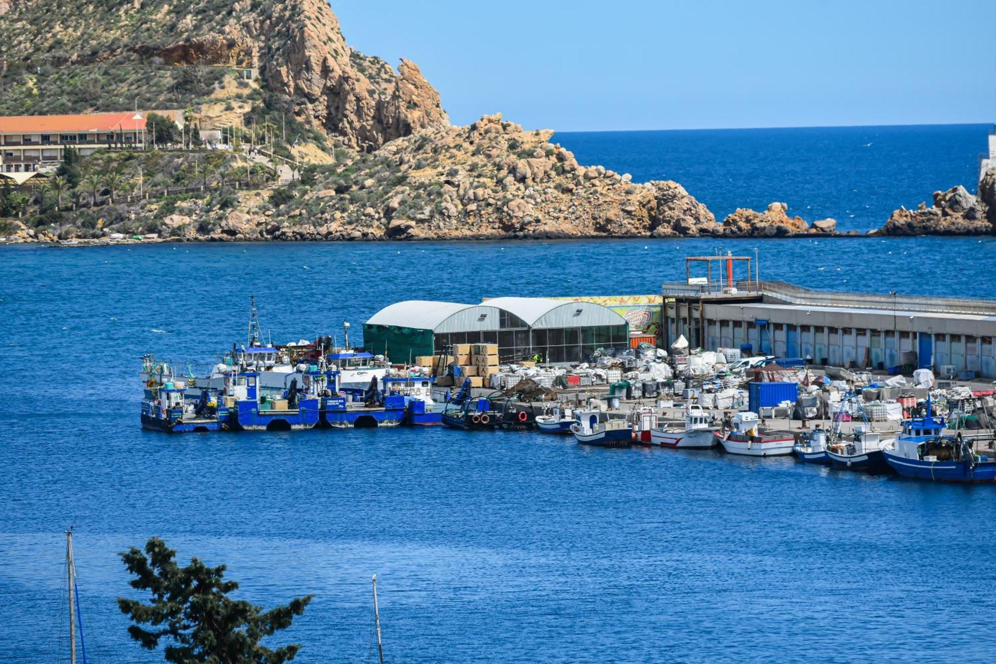 Dream View Aguilas - By Aloha Palma Εξωτερικό φωτογραφία
